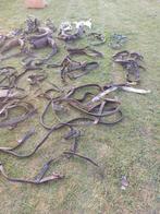 Paarden getuig, Enlèvement