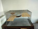 Grote hamsterkooi, 75 à 110 cm, Enlèvement, Utilisé, Cage