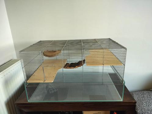 Grote hamsterkooi, Dieren en Toebehoren, Knaagdieren en Konijnen | Hokken en Kooien, Gebruikt, Kooi, Minder dan 60 cm, 75 tot 110 cm