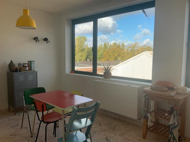 Stijlvol appartement met dakterras te huur in Antwerpen-zuid, Immo, Appartementen en Studio's te huur, Antwerpen (stad), 50 m² of meer