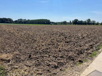 Boerderij te koop in Petegem-Aan-De-Schelde beschikbaar voor biedingen