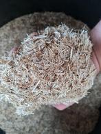 Vlaslemen 20kg-- vlas - stalstrooisel - 1e keuze