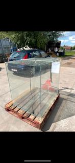 A donner Terrarium/paludarium 100/80/100, Dieren en Toebehoren, Ophalen, Gebruikt, Terrarium of Paludarium