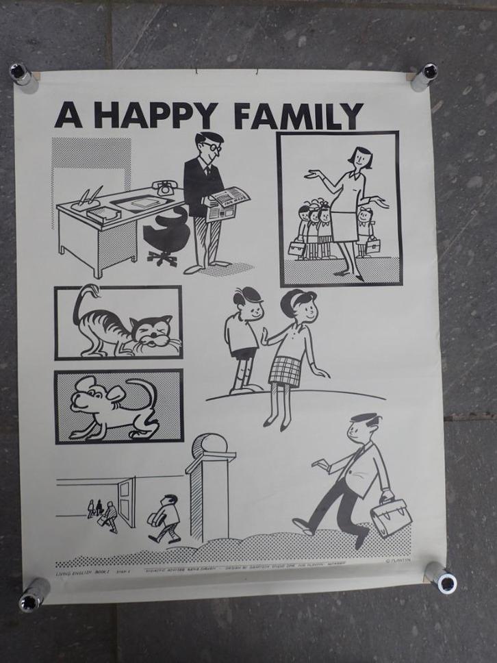 21 didactische posters Engelse lessen, Verzamelen, Overige Verzamelen, Gebruikt, Ophalen