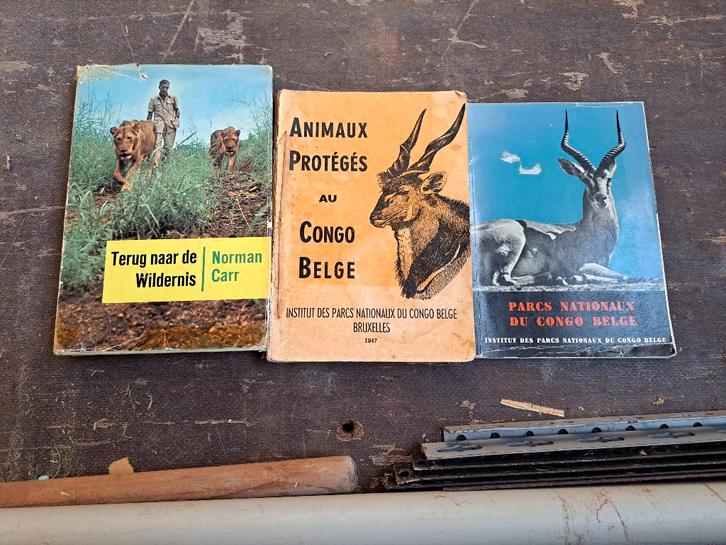 AFRIKAANSE KUNST EN BOEKEN, Antiek en Kunst, Kunst | Niet-Westerse kunst, Ophalen