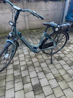 Een giant ease elektrische fiets met defect, Fietsen en Brommers, Elektrische fietsen, Ophalen, Zo goed als nieuw, Giant