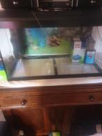 Te koop 2 aquariums in goede staat !!, Gebruikt, Ophalen, Leeg aquarium