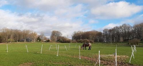 Pension prairie cheval thy le chateau, Dieren en Toebehoren, Stalling en Weidegang