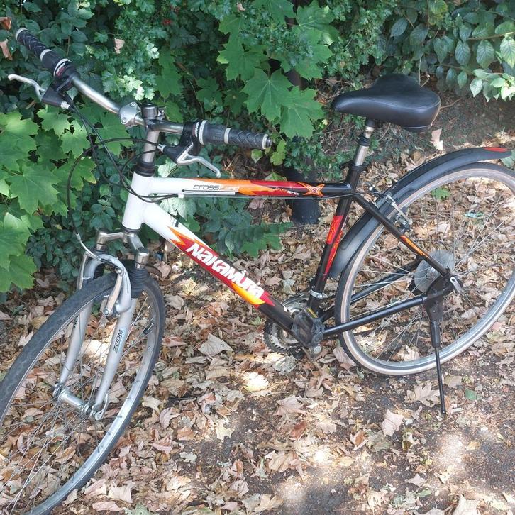 Velo, Fietsen en Brommers, Fietsen | Heren | Herenfietsen, Versnellingen, Ophalen