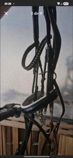 Hoofdstel, Teugels, Laarzen, ..., Ophalen