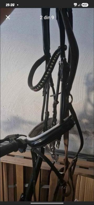 Hoofdstel, Teugels, Laarzen, ... beschikbaar voor biedingen