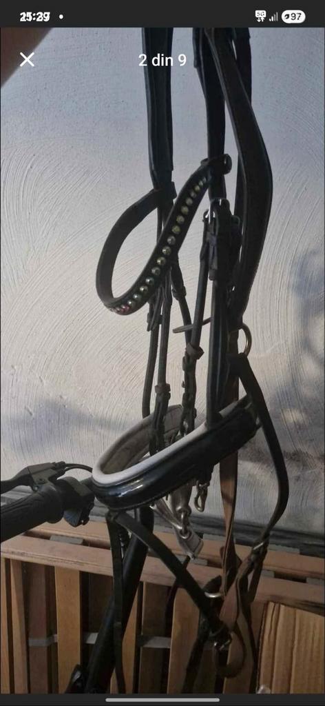 Hoofdstel, Teugels, Laarzen, ..., Dieren en Toebehoren, Paarden en Pony's | Hoofdstellen en Tuigage, Ophalen