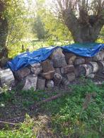 Brandhout - populier blokken gezaagd op 30/40 cm, Blokken, Ophalen, 6 m³ of meer, Overige houtsoorten