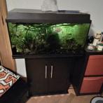 Juwel aquarium met kast, Dieren en Toebehoren, Ophalen, Zo goed als nieuw