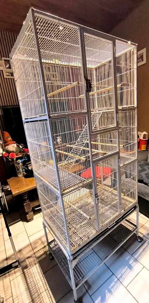 Voliere., Animaux & Accessoires, Oiseaux | Cages & Volières, Utilisé, Volière, Métal