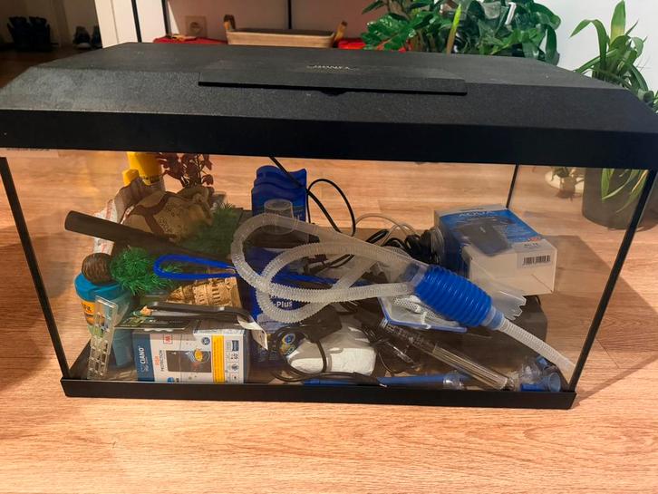 Aquarium 60 L, Animaux & Accessoires, Poissons | Aquariums & Accessoires, Utilisé, Aquarium vide, Enlèvement