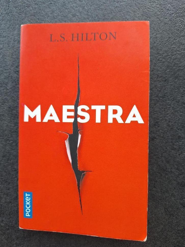 Maestra - L.S. Hilton, Boeken, Thrillers, Gelezen, Amerika, Ophalen