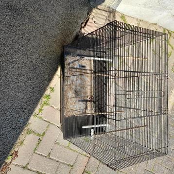 vogelkooi beschikbaar voor biedingen