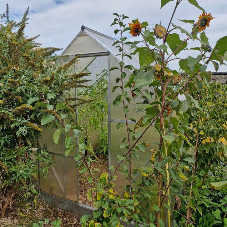 GRATIS aluminium serre met kunststof platen, Tuin en Terras, Kassen, Aluminium, Ophalen