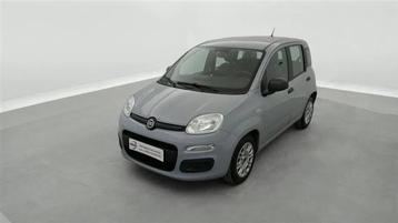 Fiat Panda 1.0i MHEV Pop CLIM (bj 2022) beschikbaar voor biedingen