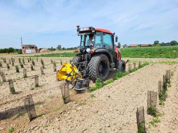 Rotoweed schoffelmachine voor wijn- en boomgaarden disponible aux enchères