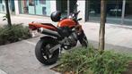 Honda Hornet 600, Naked bike, 600 cc, 12 t/m 35 kW, Particulier