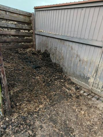 Gratis zuivere paardenmest beschikbaar voor biedingen