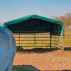 Weidetent, Weidegang, 2 of 3 paarden of pony's