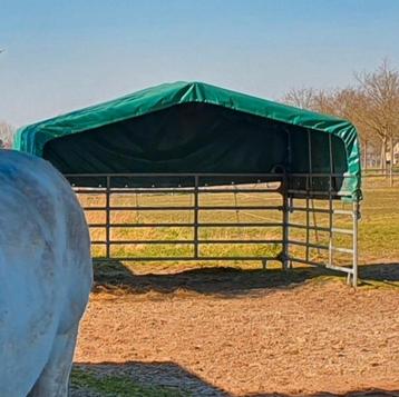 Tente Meadow, Mise à l'étable, 2 ou 3 chevaux ou poneys