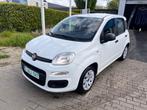 La belle Fiat Panda est inspectée avant la vente et ne prend, Autos, 5 places, Tissu, Panda, Achat