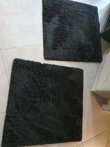 2 tapis noir poils courts