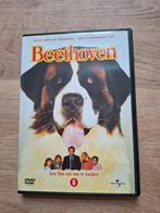 Beethoven 1, CD & DVD, DVD | Comédie, Enlèvement