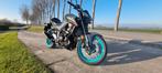 Yamaha mt03 nieuw model met 300cc blok, Motoren, Particulier