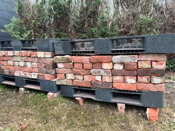 Briques anciennes rouges - 22 x 10 x 6/ 6,5 cm beschikbaar voor biedingen