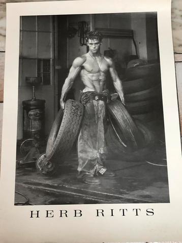 Poster Herb Ritts (fotografie) beschikbaar voor biedingen