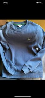 Lacoste sweater trui heren, Kleding | Heren, Verzenden, Zo goed als nieuw, Blauw