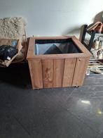 Houten plantenbak, Intérieur, 30 à 60 cm, Enlèvement, 60 à 100 cm