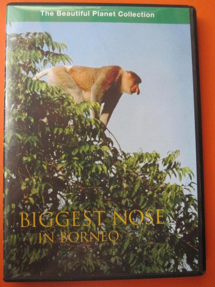 Le plus gros nez de Bornéo, CD & DVD, DVD | Documentaires & Films pédagogiques, Comme neuf, Nature, Tous les âges, Enlèvement ou Envoi