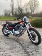 Yamaha Virago 535, Motos, Tourisme, Plus de 35 kW, 2 cylindres, Particulier