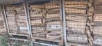 Brandhout abeel | zwarte els | den, Tuin en Terras, Brandhout, Ophalen of Verzenden, Overige houtsoorten, Blokken
