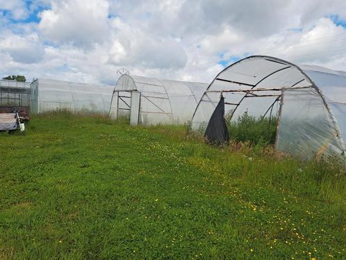 Moestuin, weide, stukje natuur te huur Mechelen/ o.l.v.waver, Hobby en Vrije tijd, Overige Hobby en Vrije tijd, Zo goed als nieuw
