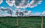 GEZOCHT WEIDE EIGEN BEHEER, Dieren en Toebehoren, Stalling en Weidegang