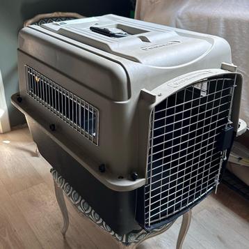Transportbox voor dieren beschikbaar voor biedingen