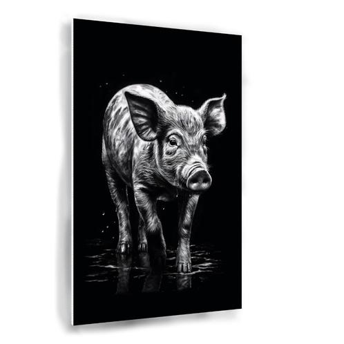 Biggetje zwart wit kunststof poster 60x90cm, Huis en Inrichting, Woonaccessoires | Wanddecoraties, Nieuw, Verzenden