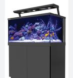 Red sea aquarium gezocht 1,20 lengte of meer, Dieren en Toebehoren, Ophalen, Zo goed als nieuw, Gevuld zeewateraquarium