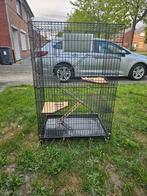 Grote kooi, Dieren en Toebehoren, Knaagdieren en Konijnen | Hokken en Kooien, Ophalen, Zo goed als nieuw, Kooi, Muis