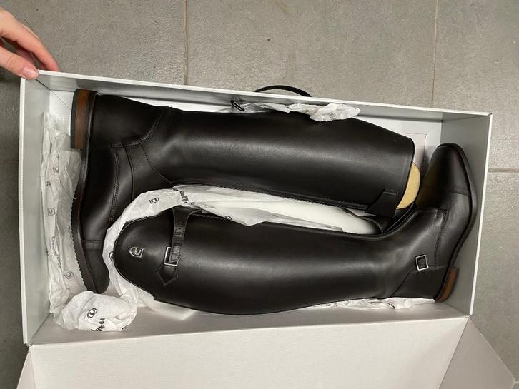 Rijlaarzen, Dieren en Toebehoren, Paardrijkleding, Nieuw, Dames, Schoeisel, Dressuur, Ophalen of Verzenden