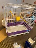 Voegelkooi, Dieren en Toebehoren, Ophalen, Zo goed als nieuw, Vogelkooi