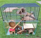 Hamster/muizen kooi, Dieren en Toebehoren, Ophalen, Zo goed als nieuw, Kooi, Hamster