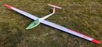 Planeur DG 300, Hobby & Loisirs créatifs, Enlèvement, Utilisé